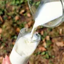 Молоко на 12% подорожало за год в Свердловской области