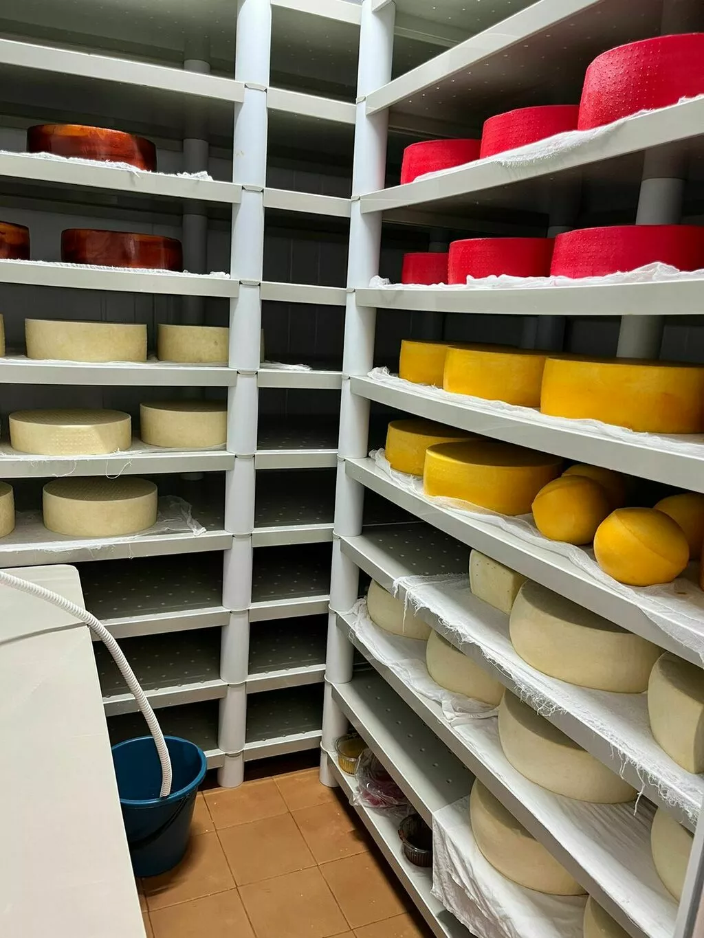 фотография продукта Стеллажи из полипропилена для сыра